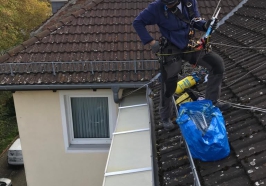 Taubenabwehr am Haus durch Kammerjäager